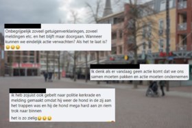 Video: Zo houden burgers vermeende hondenmishandelaar aan