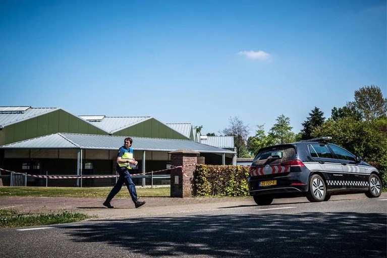 Nertsenfokkerijen met coronabesmettingen worden geruimd