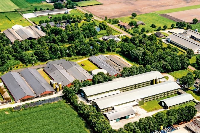 Omwonenden megastallen slepen overheid voor de rechter om stank