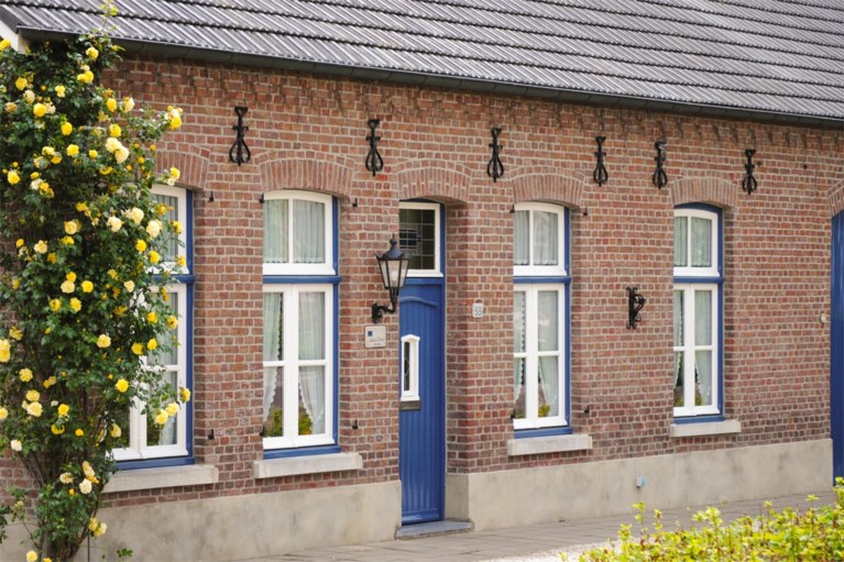 Muurankers: niet alleen constructief, maar zeker ook decoratief zeer sterk