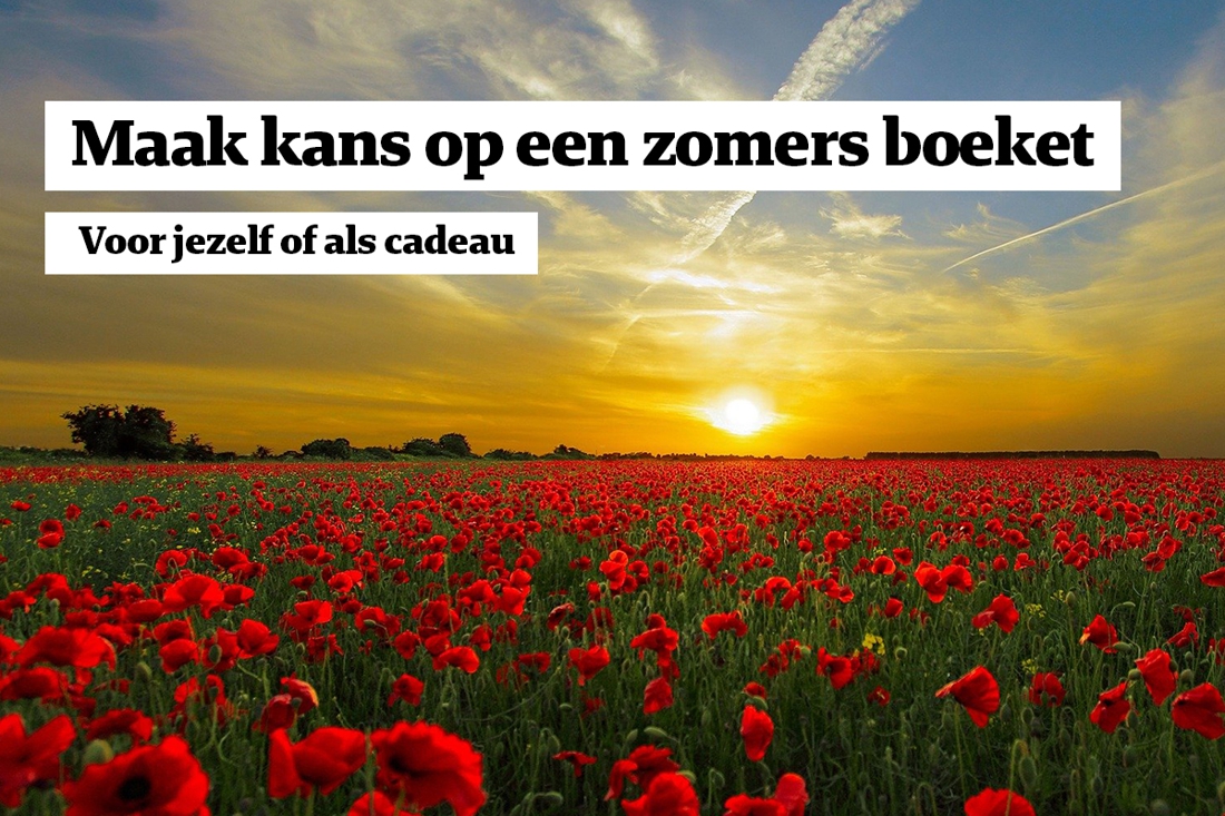 Winactie: Maak kans op één van de 93 zomerse boeketten - De Limburger