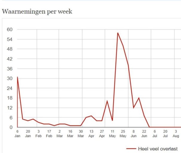 Stormloop op horren omdat we bang zijn voor een nieuwe muggeninvasie