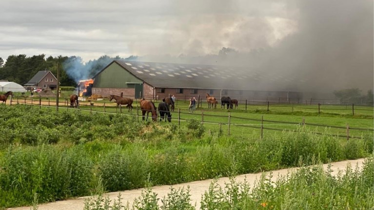 Video: Grote brand in paardenrijstal in Neer
