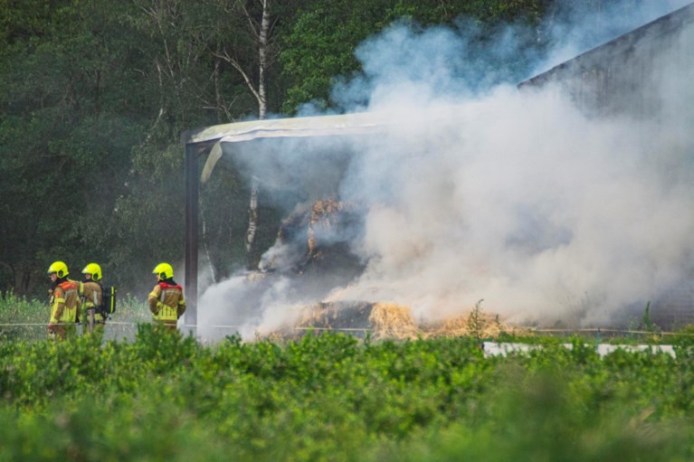 Video: Grote brand in paardenrijstal in Neer