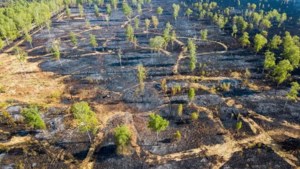 Onderzoek naar brandstichting Peel levert nog niets op, 800 hectare natuurgebied vernietigd