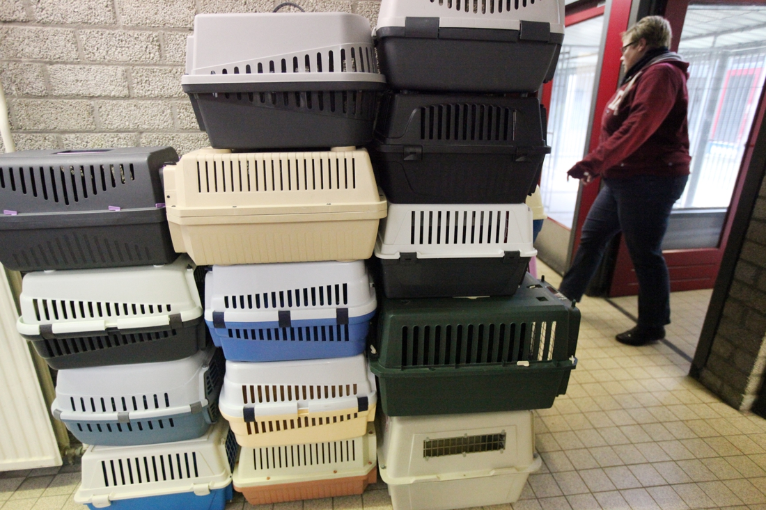 Onderzoek naar financiën Dierenambulance,vrijwilligers drei... - De Limburger