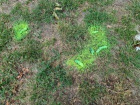 Achtergelaten drollen kleuren geelgroen in Brunssum