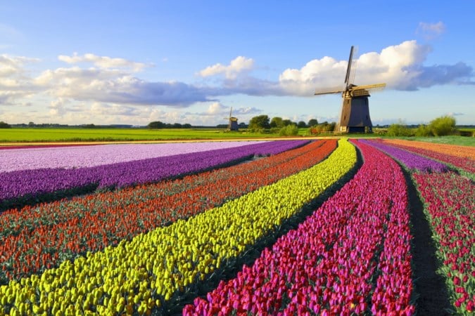 Op pad in ons eigen Nederland: een pretpark met in elke provincie nieuwe verrassingen