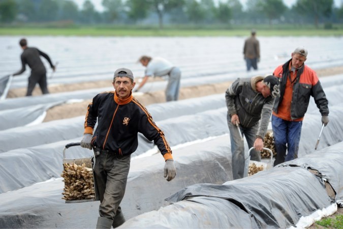 Duitse grensdorpen zitten in hun maag met ‘Nederlandse’ arbeidsmigranten uit Oost-Europa