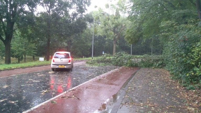 pix Noodweer Limburg Vandaag video tropische storm zorgt voor