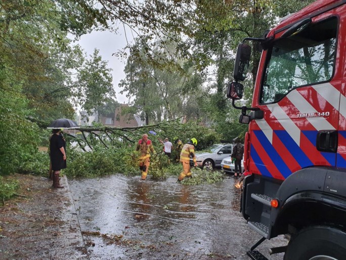 Video: Tropische storm zorgt voor wateroverlast en omgevallen bomen in Zuid-Limburg