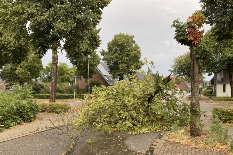 Forse stormschade en ondergelopen straten door felle buien