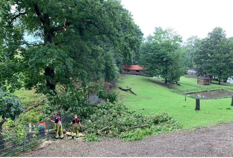 Video: Stormschade en wateroverlast door hoosbuien in Limburg