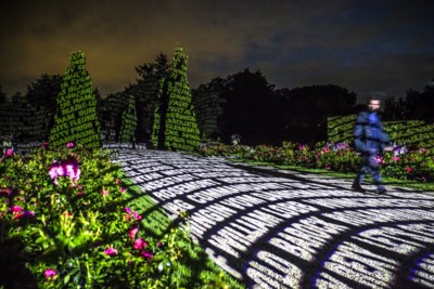 Voorproefje Van Lichtkunstfestival In Kasteeltuinen Arcen De Limburger Mobile