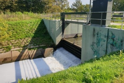 Advies Om Geen Honden In Geleenbeek Te Laten Zwemmen Vanwege De Limburger Mobile