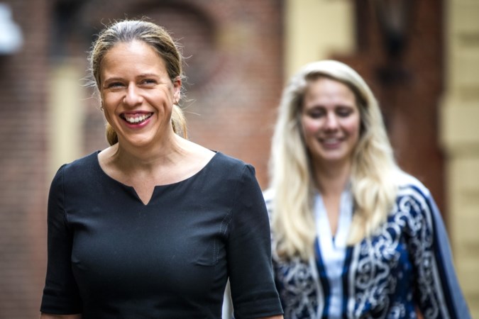 Tegenvaller voor stikstofbeleid van minister Schouten: te weinig boeren stoppen