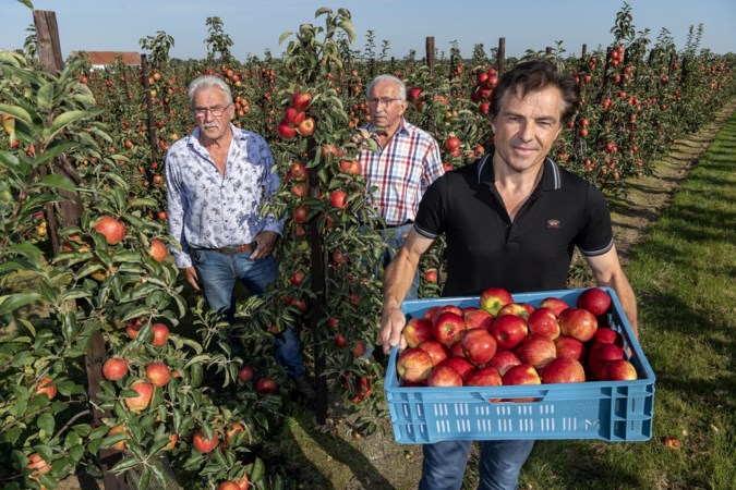 Teler Princen in Weert heeft oog voor appels