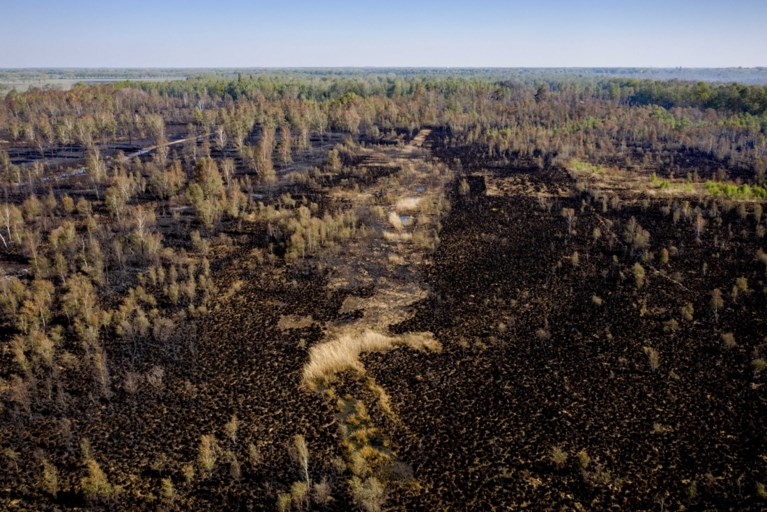 Geen oorzaak gevonden voor grote brand Deurnsche Peel