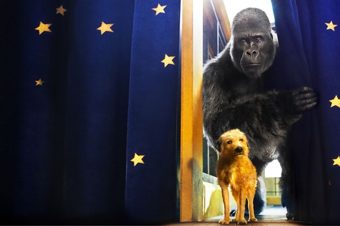 Filmrecensie ‘De Enige Echte Ivan’: Ivan is een wel erg brave zilverrug