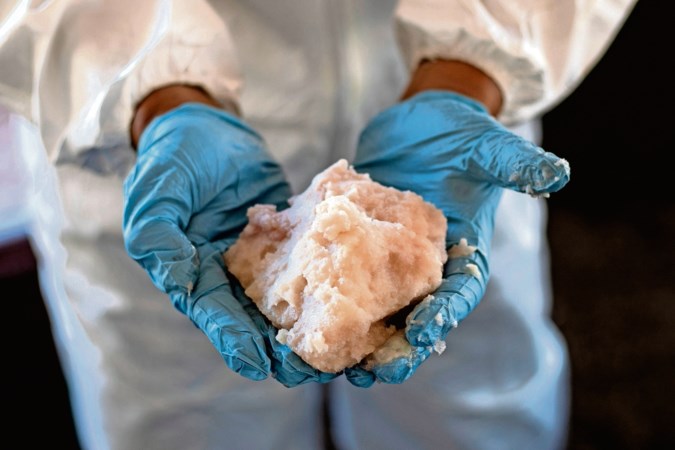 Nederland speelt een bedenkelijke rol in illegale handel met crystal meth