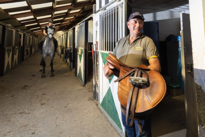 Dieven op zoek naar peperdure paardenzadels op Limburgse maneges