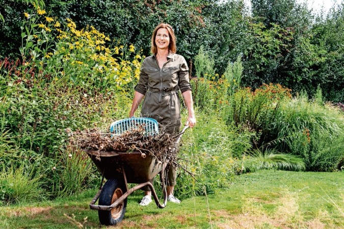 Geef je tuin een wellnesskuur: met deze tips help je planten er weer bovenop
