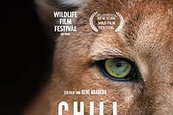 Filmrecensie ‘Chili’: klassieke natuurfilm met landschappen vol superlatieven