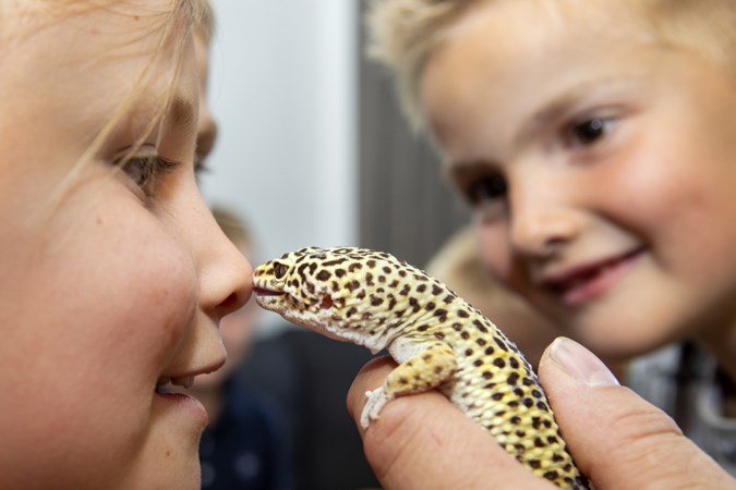 DragaZoo uit Venlo op je kinderfeestje: feesten met ‘Freek Vonk’ en heel veel enge beestjes