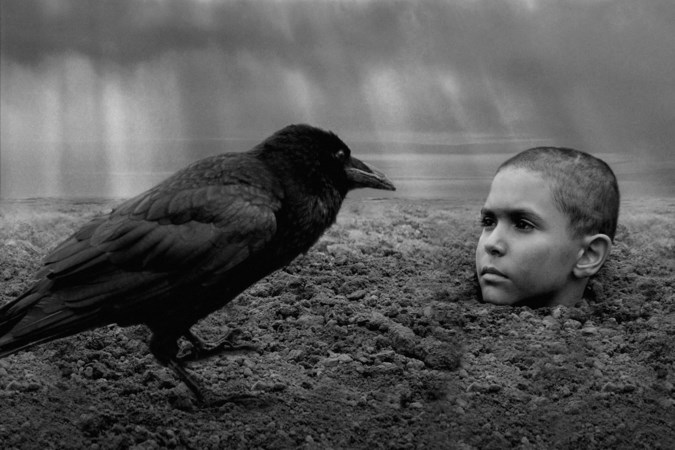 Regisseur Václav Mahoul over ‘De Geverfde Vogel’: ‘Dit is een universeel verhaal, over mensen die anders zijn, die vervolgd worden’