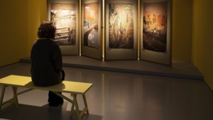 Textielmuseum zet twintig jaar design van Tegels maedje Kiki van Eijk in de etalage 