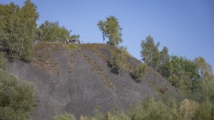 Monumentenstatus voor Heerlense mijnsteenberg is kroon op het werk van actievoerders die berg voor afgraven hebben behoed