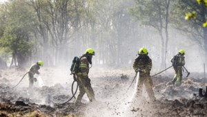 Evaluatie Meinwegbrand: evacuatie Herkenbosch was ‘niet noodzakelijk, maar wel begrijpelijk’