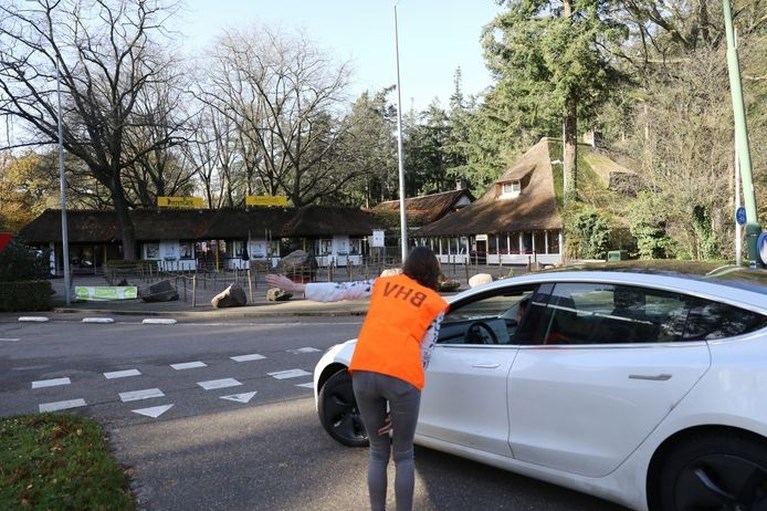 Twee chimpansees ontsnapt in DierenPark Amersfoort door menselijke fout, beide dieren doodgeschoten
