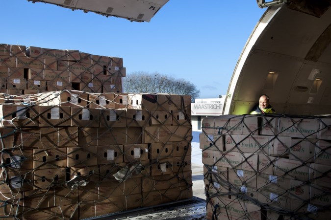 Cargo-experts: ‘Farma biedt vrachtkansen voor MAA’