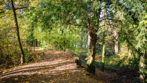 De groene geschiedenis van Kasteelpark Elsloo
