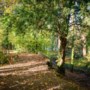 De groene geschiedenis van Kasteelpark Elsloo