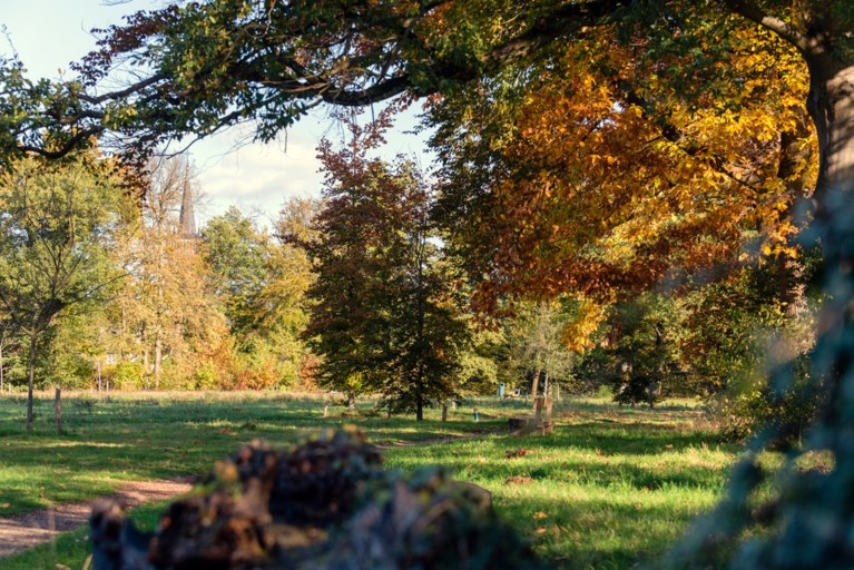 De groene geschiedenis van Kasteelpark Elsloo