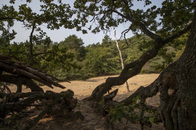 Stiltegebieden in Limburg worden kleiner en het is er lang niet altijd stil