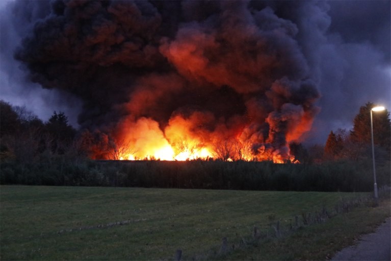 Video: Lege pluimveestallen tot de grond toe afgebrand in Well