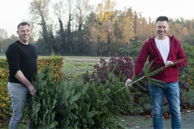 Staat hij al? Met deze tips blijft je kerstboom tot eind december mooi
