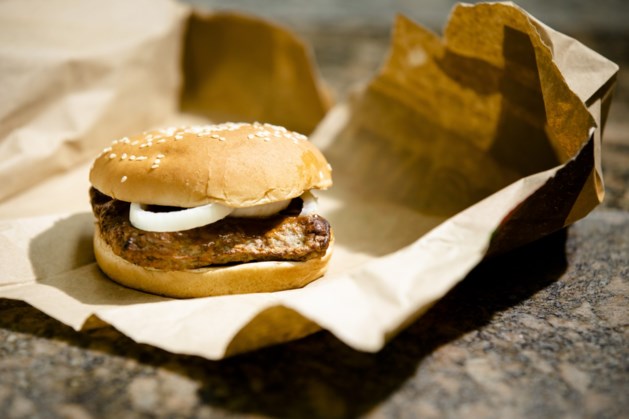 Burger King vraagt opnieuw vergunning aan voor restaurant in Maasmechelen, vlakbij snelweg naar Stein