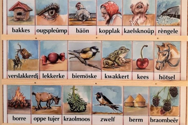 Wederom achttien typische dialectwoorden op nieuwe uitgave van Royer Laesplênkske 