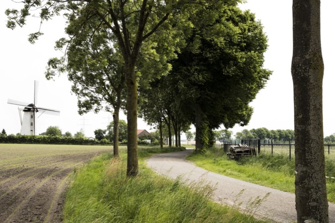 Nieuwe vergunning voor kap bomen ten gunste van Weerter molen