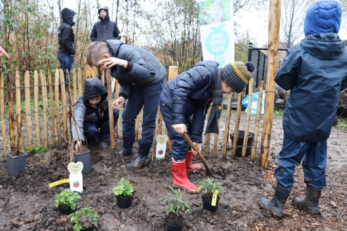 Maastricht heeft eerste Limburgse voedselbosje bij een school 