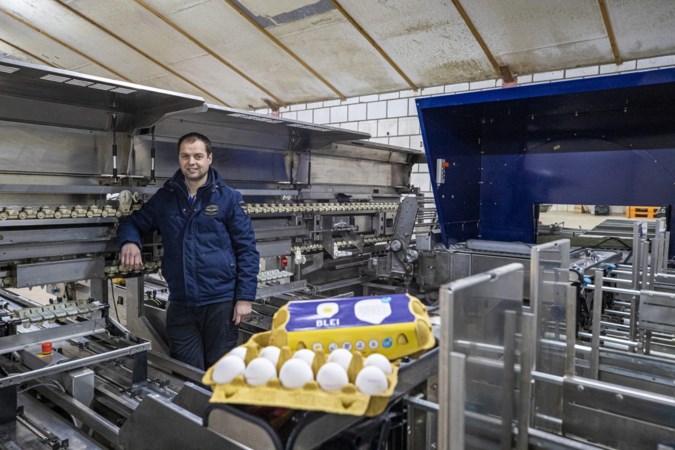 Nieuw duurzaam initiatief in de Limburgse pluimveesector: het ‘bleie’ ei