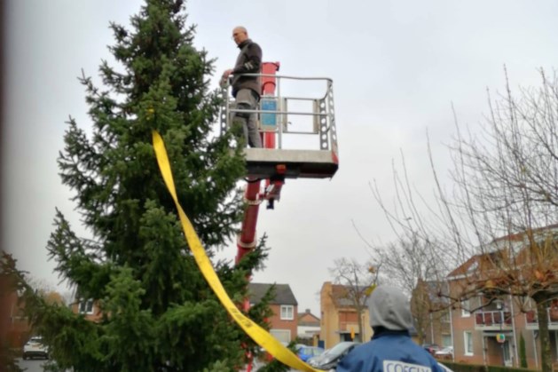 Inwoonster schenkt Obbicht mega-kerstboom uit eigen tuin