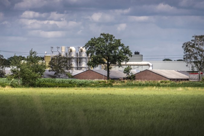 Horst boos over vergunning van provincie voor verzevenvoudiging mestfabriek Willems