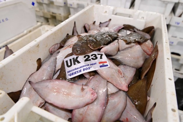 ‘EU verwerpt Brits voorstel over visserij in Brexitoverleg’