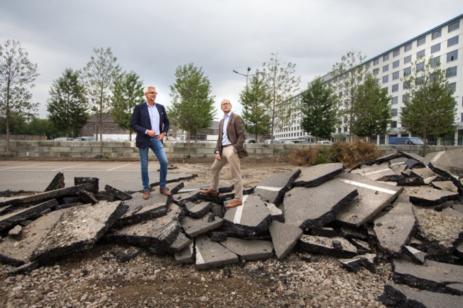‘Sphinxkwartier verdient eerste houten woongebouw Maastricht’