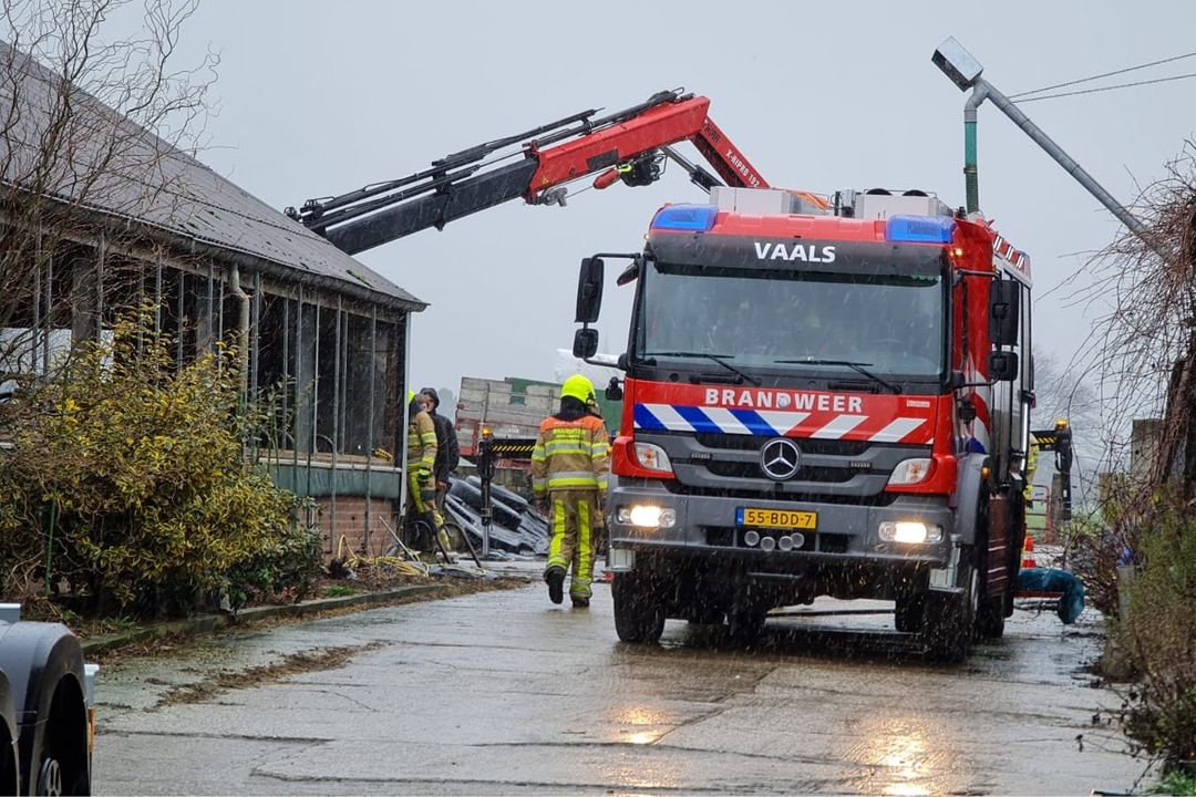 Drie koeien in gierkelder Lemiers gevallen - De Limburger